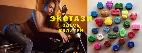 стаф Аркадак