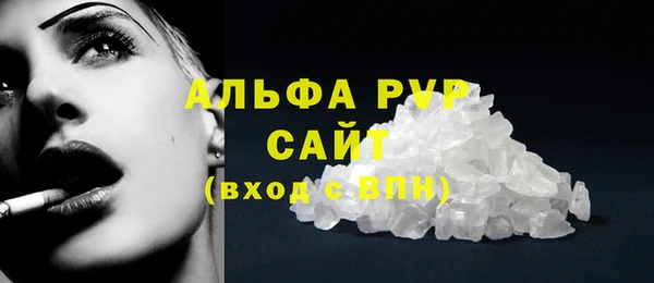стаф Аркадак