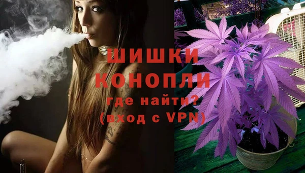 стаф Аркадак