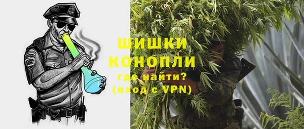 стаф Аркадак