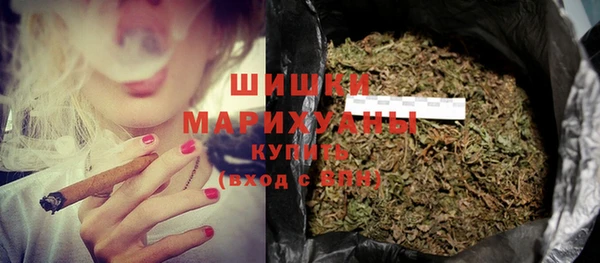 стаф Аркадак