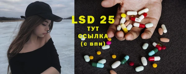 стаф Аркадак
