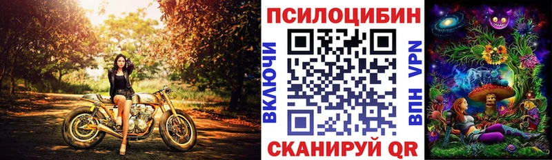 МЕГА ссылки  Волгодонск  мориарти Telegram  Псилоцибиновые грибы мицелий 